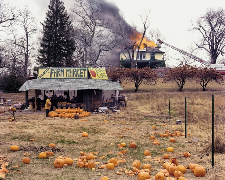 Joel Sternfeld: McLean Virginia, 1978