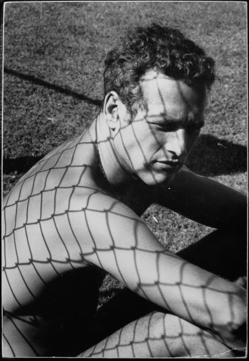 Paul Newman