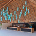 Papaya Playa Project: Reception