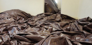 Anish Kapoor: The Death of Leviathan Martin Gropius