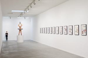 Yinka Shonibare: Blain Southern