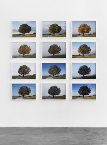 Galerie Johann König: Michael Sailstorfer