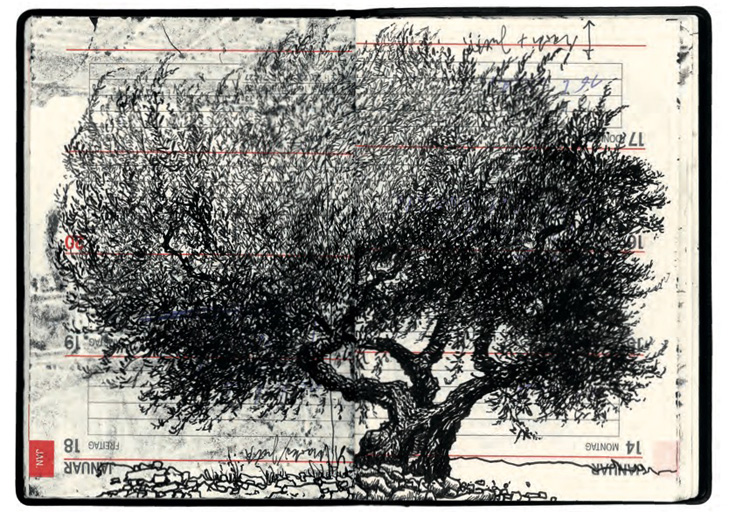 Olaf Osten: Pendeln 178 San Gregorio, Olivenbaum 2014 Print auf Leinwand 200x300cm