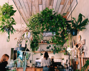 Roamers Cafe Berlin