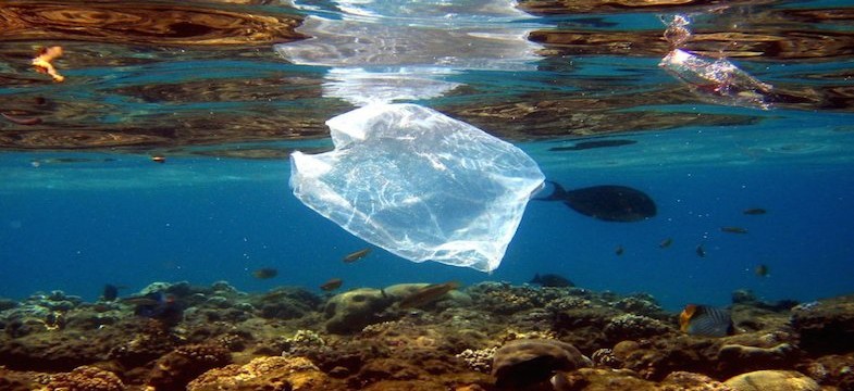 Ecosystem of Excess or why is there plastic in the freaking ocean?