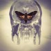 You, 2016, X ray Series, Original Röntgenaufnahme mit skull-butterfly