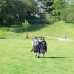 Elizabeth Stephens-&-Annie Sprinkle-walk-peaceful-after-Ecosexual Walk Performance for documenta14 Kassel