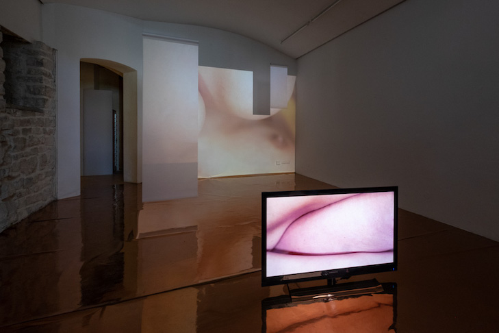 I am not like you, 2018, Installtionsansicht, The Female Gaze - On Body, Love and Sex“, Kunsthaus Erfurt, (c) Marcel Krummrich