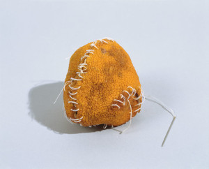 Zoe Leonard (b. 1961), detail of Strange Fruit (for David), 1992-97. Orange, banana, grapefruit, lemon, and avocado peels with thread, zippers, buttons, sinew, needles, plastic, wire, stickers, fabric, and trim wax, Dimensions variable. Collection of the Philadelphia Museum of Art; purchased with funds contributed by the Dietrich Foundation and with the partial gift of the artist and the Paula Cooper Gallery, 1998. Image courtesy