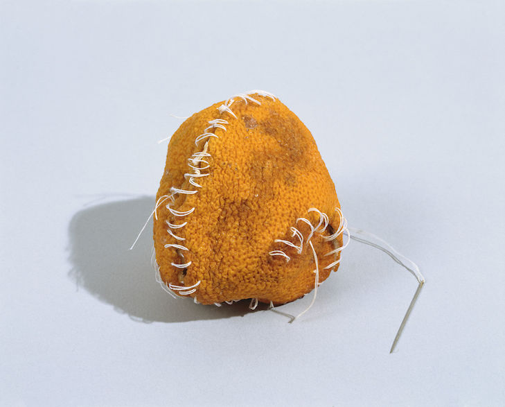  Zoe Leonard (b. 1961), detail of Strange Fruit (for David), 1992-97. Orange, banana, grapefruit, lemon, and avocado peels with thread, zippers, buttons, sinew, needles, plastic, wire, stickers, fabric, and trim wax, Dimensions variable. Collection of the Philadelphia Museum of Art; purchased with funds contributed by the Dietrich Foundation and with the partial gift of the artist and the Paula Cooper Gallery, 1998. Image courtesy 