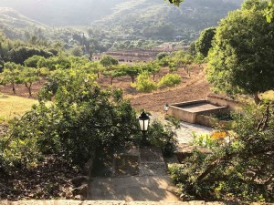 Ausblick vom Berg auf die Kunsthalle CCA, Andratx | Photo Credit: Esther Harrison